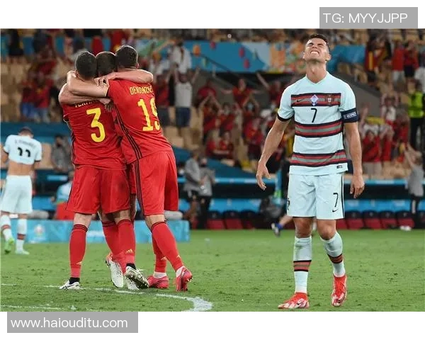 比利时足球明星啤酒的魅力与风味探秘之旅