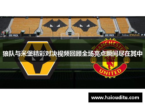 狼队与米堡精彩对决视频回顾全场亮点瞬间尽在其中
